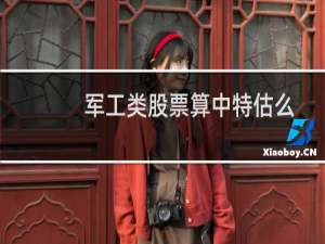 军工类股票算中特估么