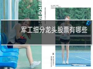 军工细分龙头股票有哪些