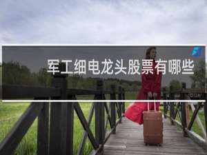 军工细电龙头股票有哪些