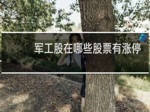 军工股在哪些股票有涨停
