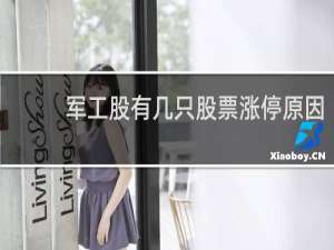 军工股有几只股票涨停原因