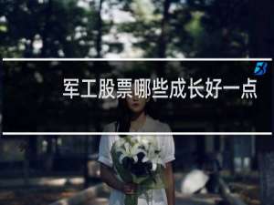 军工股票哪些成长好一点