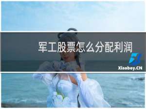 军工股票怎么分配利润
