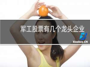 军工股票有几个龙头企业