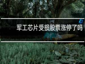 军工芯片受损股票涨停了吗