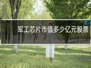 军工芯片市值多少亿元股票