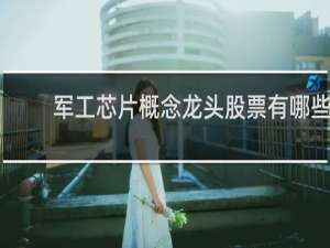 军工芯片概念龙头股票有哪些