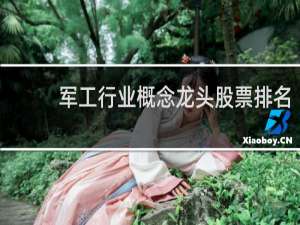军工行业概念龙头股票排名