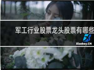 军工行业股票龙头股票有哪些