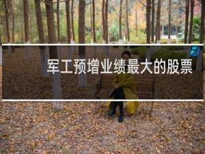 军工预增业绩最大的股票