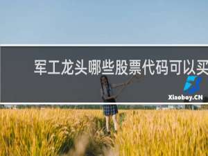 军工龙头哪些股票代码可以买