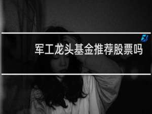 军工龙头基金推荐股票吗