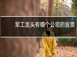 军工龙头有哪个公司的股票