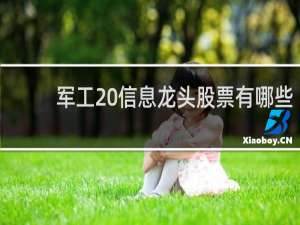 军工 信息龙头股票有哪些