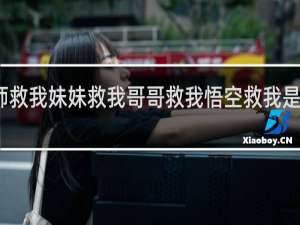军师救我妹妹救我哥哥救我悟空救我是什么意思，概括的是哪四本名著什么梗