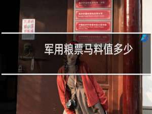 军用粮票马料值多少