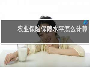 农业保险保障水平怎么计算