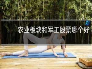 农业板块和军工股票哪个好