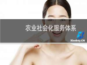 农业社会化服务体系