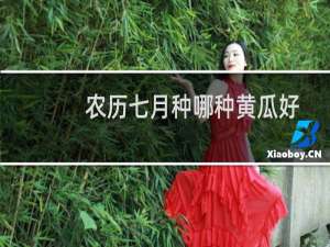 农历七月种哪种黄瓜好