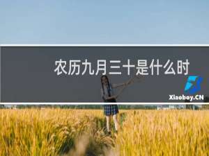 农历九月三十是什么时候：看菊花吃螃蟹？