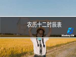 农历十二时辰表