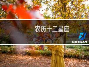 农历十二星座