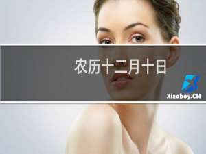 农历十二月十日