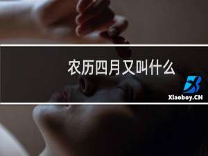 农历四月又叫什么