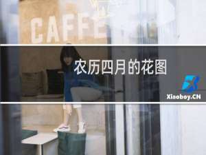 农历四月的花图
