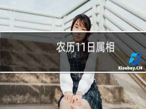 农历11日属相