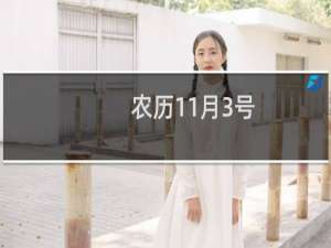 农历11月3号