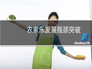 农家乐发展瓶颈突破