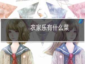 农家乐有什么菜