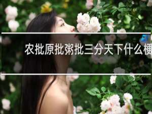 农批原批粥批三分天下什么梗