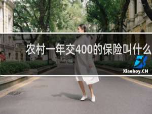农村一年交400的保险叫什么