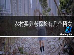 农村买养老保险有几个档次
