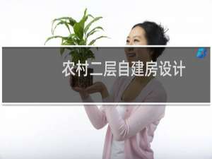 农村二层自建房设计