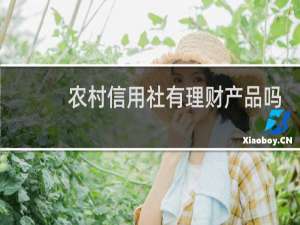 农村信用社有理财产品吗