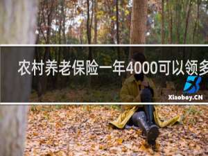 农村养老保险一年4000可以领多少