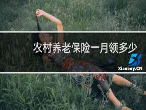 农村养老保险一月领多少