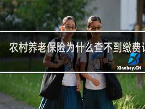 农村养老保险为什么查不到缴费记录