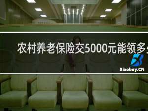 农村养老保险交5000元能领多少