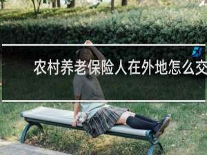农村养老保险人在外地怎么交