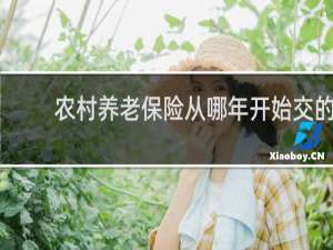 农村养老保险从哪年开始交的