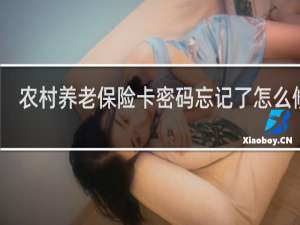 农村养老保险卡密码忘记了怎么修改