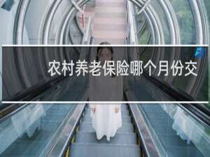 农村养老保险哪个月份交