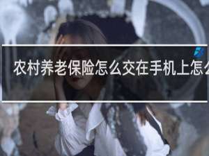 农村养老保险怎么交在手机上怎么交