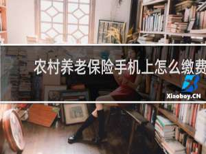 农村养老保险手机上怎么缴费