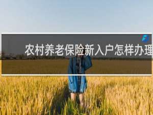 农村养老保险新入户怎样办理